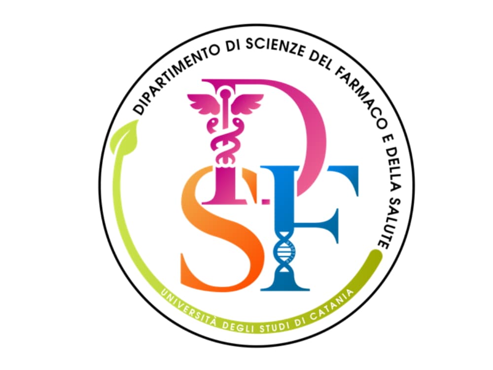DSFS logo