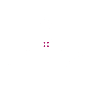 Sviluppo Firmware image